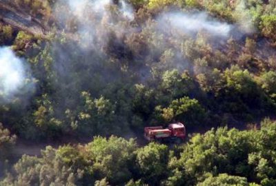 Zeytinlik alanda başladı, ormanlık alana sıçradı