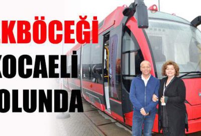 İpekböceği Kocaeli yolunda