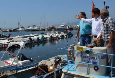 ‘Balıkçıların ekmeğine kimse göz dikemez’