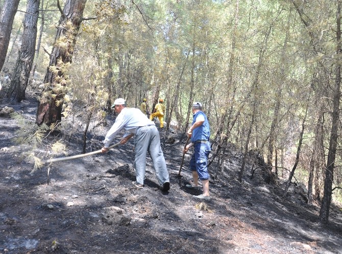 Muğla’daki Yangına İlk Müdahale Vatandaşlardan