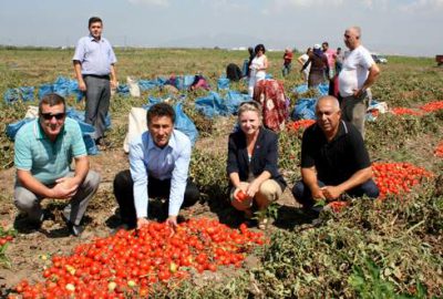 Domateste üretim planlaması yapılmalı