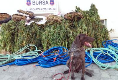 Bursa’da uyuşturucu operasyonu