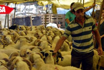 Fiyatlar yüksek olunca vatandaş bakmakla yetiniyor