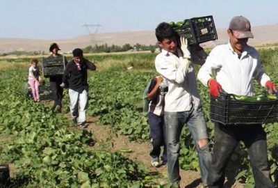 Çiftçi borç yapılandırması istiyor