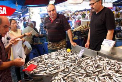 Balık tezgahları şenlendi