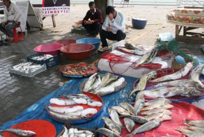 Gölyazı’da mezat zamanı