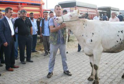 Hayvan pazarına başkandan denetleme