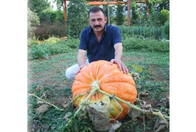 70 kiloluk kabak yetiştirdi