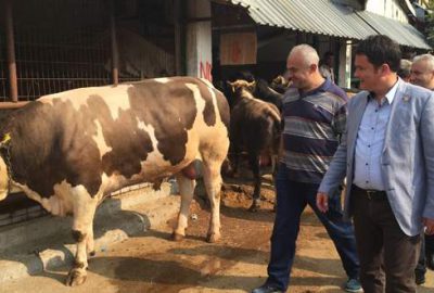 Aydın: Vatandaşın kurbanlık alacak gücü yok