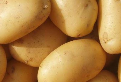 Patates bu yıl tüketicinin yüzünü güldürüyor