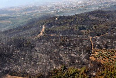 “Her Fidan Bir Can, Bursa’ya Yeni Orman” kampanyası