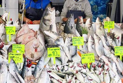 Bursa’da balık fiyatları düştü, tezgahlar şenlendi