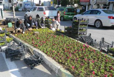 Mudanya çiçek açıyor