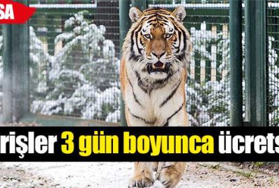 Hayvanat Bahçesi’ne giriş 3 gün ücretsiz