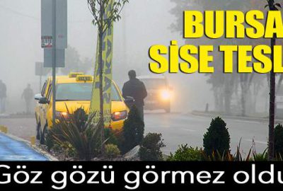 Bursa sise teslim