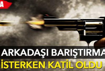 İki arkadaşı barıştırmak isterken katil oldu