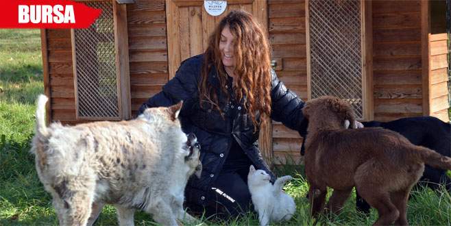 Köpekleri yüzünden darp edilen kadın açlık grevine başladı