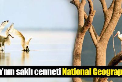 Saklı cennet National Geographic’te