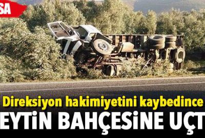 Kamyon zeytin bahçesine uçtu