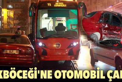 İpekböceği’ne otomobil çarptı