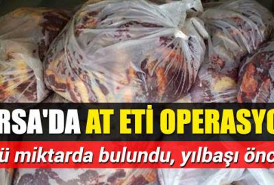 Bursa’da at eti operasyonu