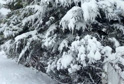 Mustafakemalpaşa’da çok sayıda köy yolu kapandı