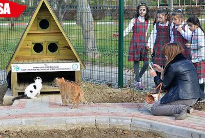 Kediler için ‘Pisi Bahçe’