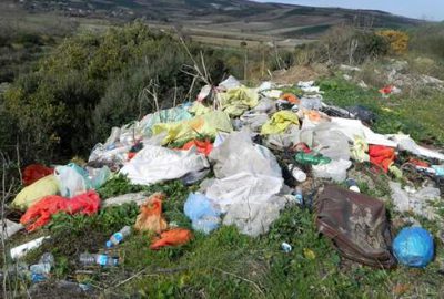 Mudanya’da zeytinlikleri çöpe çevirdiler