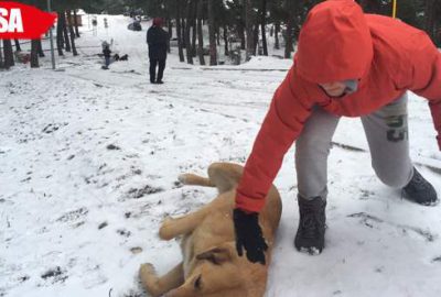 Kent ormanında karda piknik keyfi