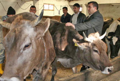 ‘Devlet desteğiyle ayakta duruyoruz’