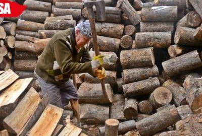 Engeline rağmen günde 3 ton odun kırıyor