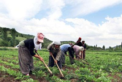 Çiftçi ÇKS için kolaylık bekliyor