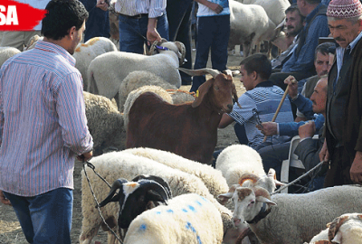 Karantina sona erdi, yarın açılıyor