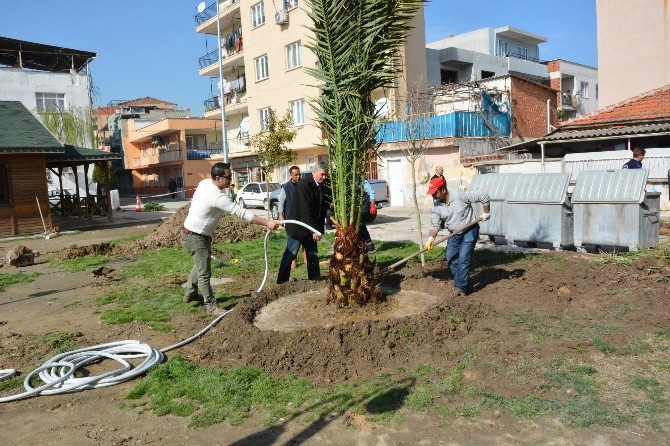 Bu Çalışmaya En Çok Çocuklar Sevinecek