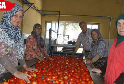 Kulaca’da 2016 sezonu başladı