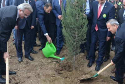 Bursa’da yanan orman alanına 3 bin fidan dikildi