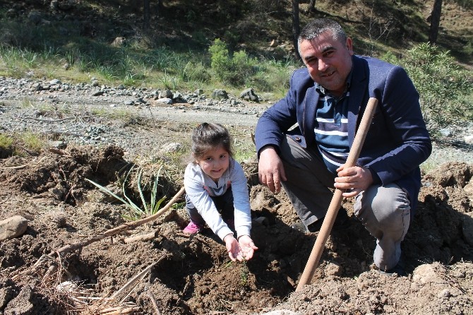 Fidanlar Minik Ellerde Hayat Buldu