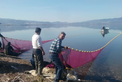 İznik Gölü’nde av zamanı