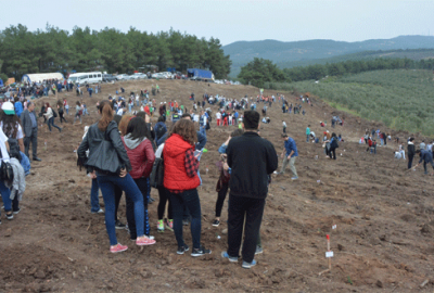 Bursa’da kül olan 170 hektarlık alan ağaçlandırıldı