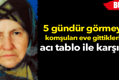 Yaşlı kadın evinde ölü bulundu