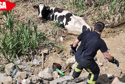 6 metre yükseklikten bataklığa düştü