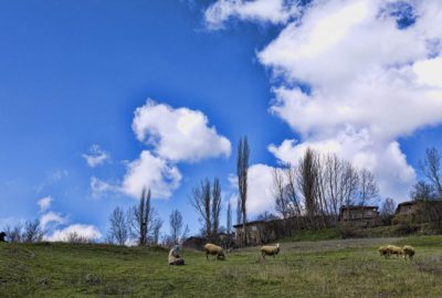 Uludağ’ın yaylaları turizme açılıyor