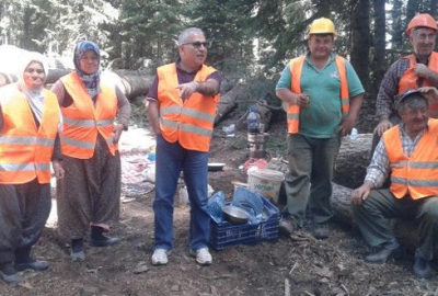 Keles ormanları gençleştiriliyor