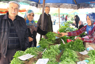 Çim satışları başladı