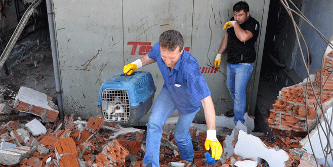 Bursa’da işçinin dikkati 10 köpek yavrusunu kurtardı