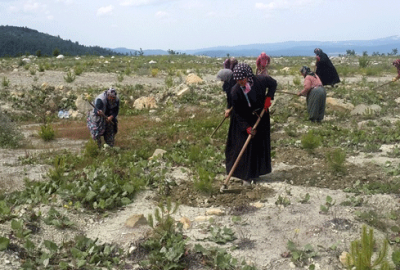 Bursa’da köylü kadınlara ek gelir kapısı