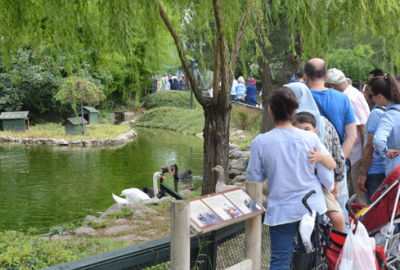 Bursa Zoo Park ziyaretçi akınına uğradı