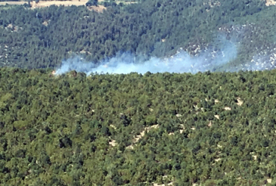 Bursa’da orman yangını