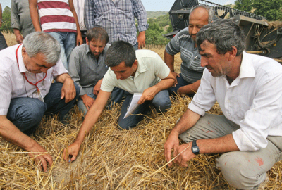 ‘Tane kaybını önlemeliyiz’