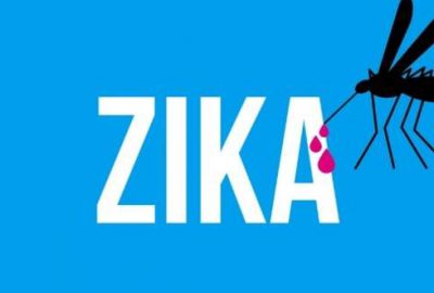 Zika virüsü ev sineklerinde de tespit edildi